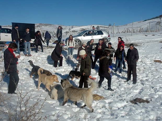 Karda aç kalan köpeklere mama desteği