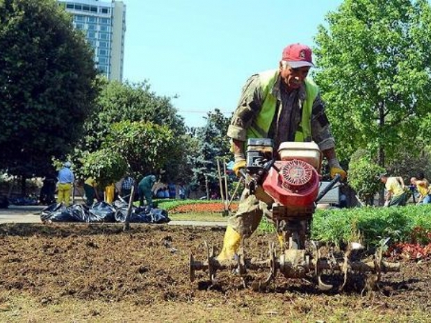 Gezi Parkı çiçek açtı