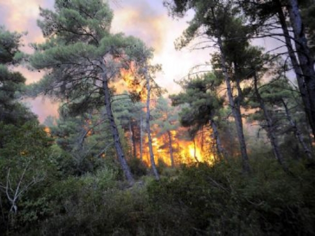 Antalya'da orman yangını
