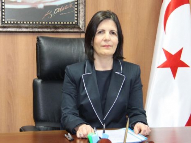 Siber hükümeti istifasını sundu