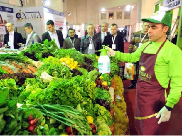 Bitkisel beslenmenin önemi